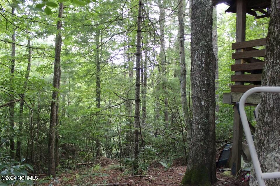 574 Pine Creek Road Cullowhee, NC 28723 - Photo 18 of 21 IMG_0313