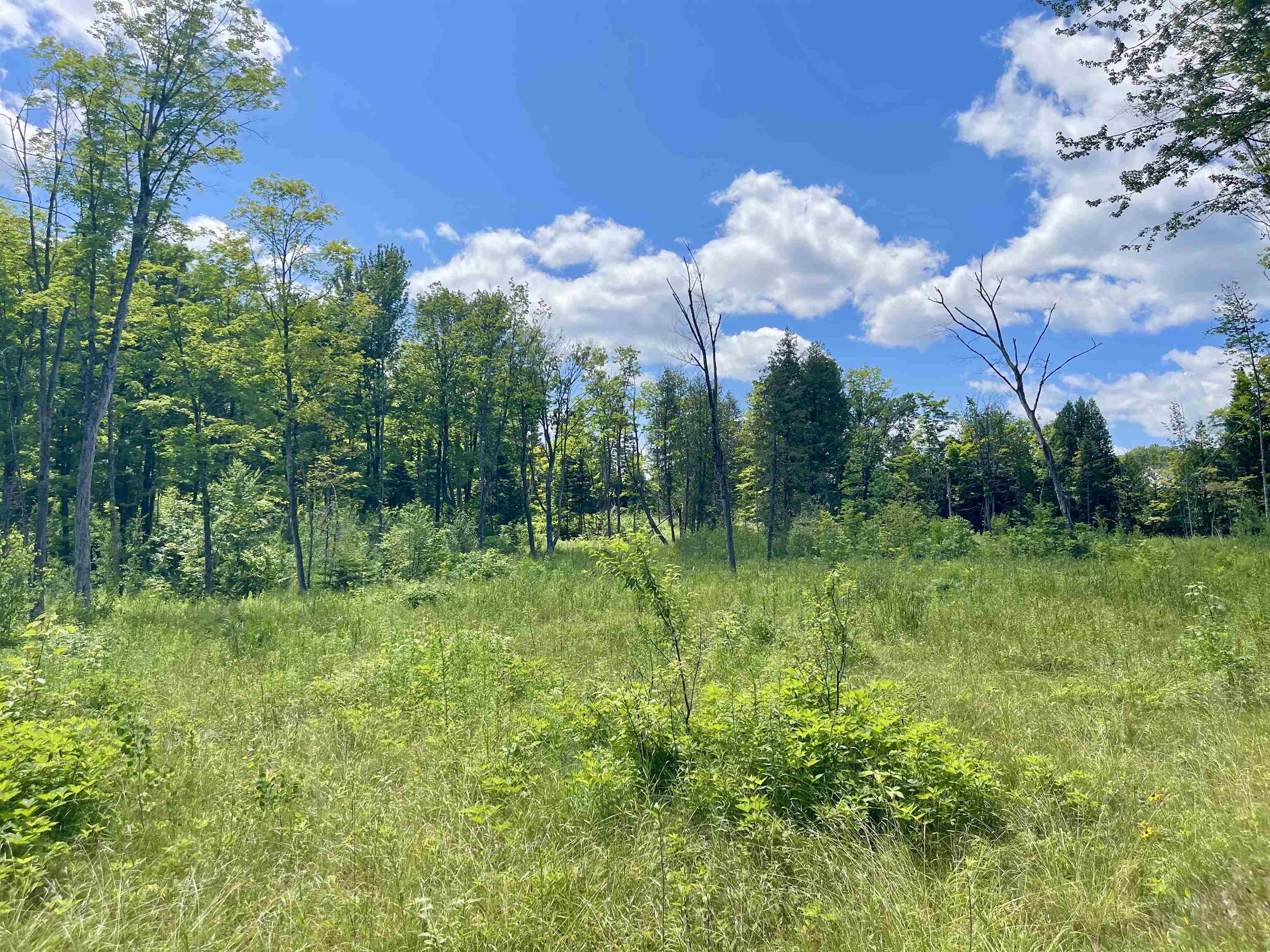 2209 Underpass Road Sutton, VT 05867 - Photo 3 of 5