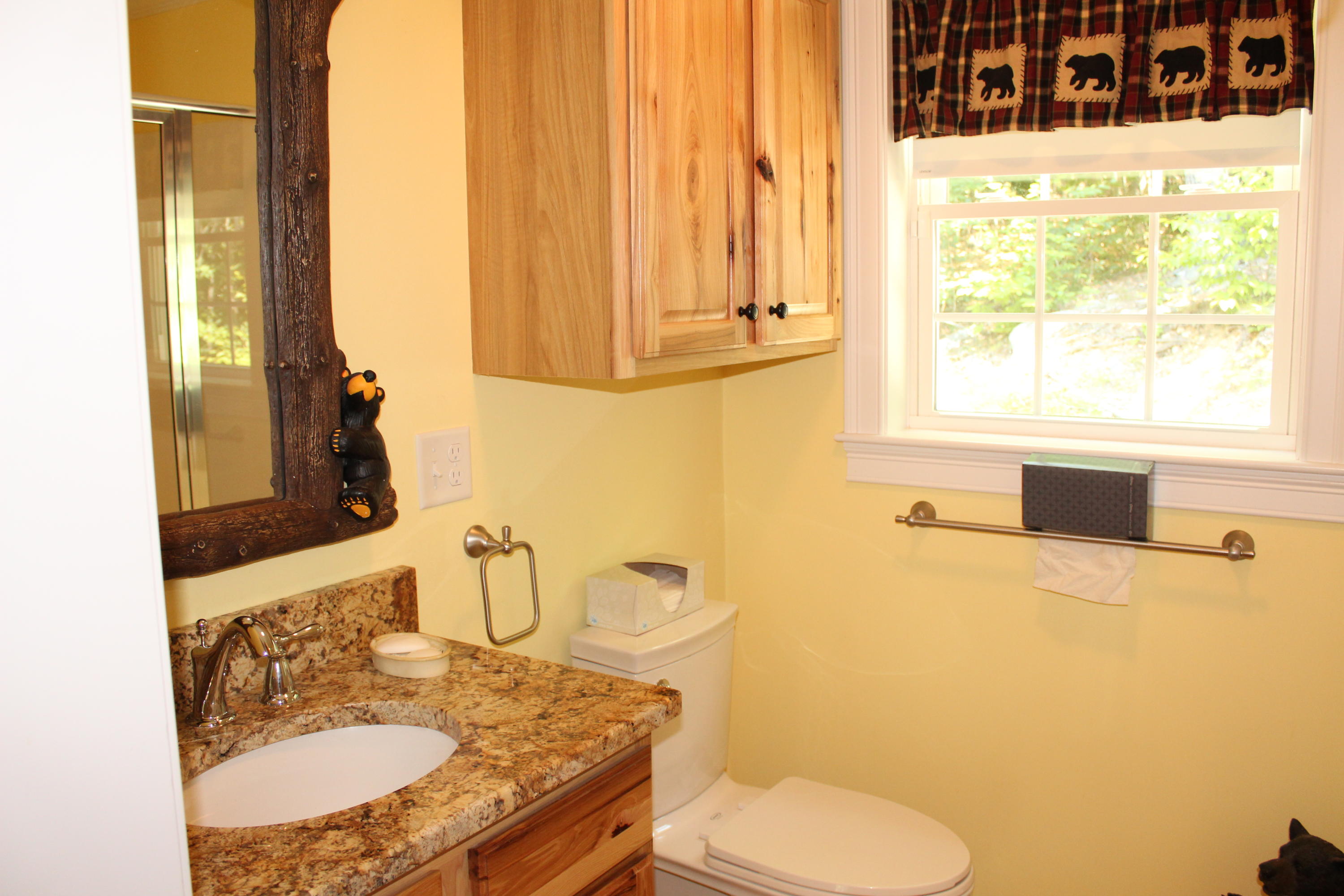 47 Sanborn Road West Newfield, ME 04095 - Photo 10 of 36 IMG_3853