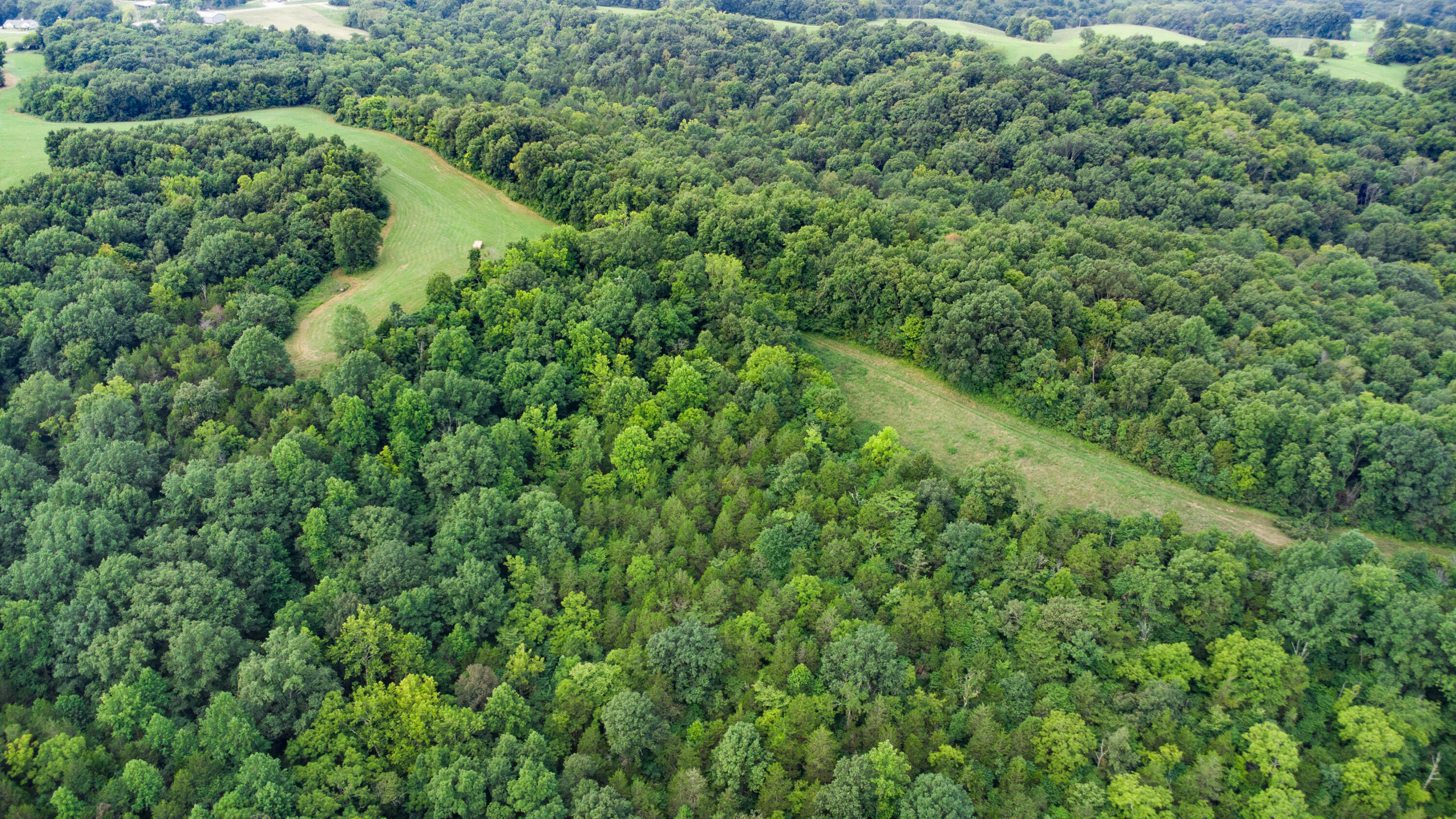 4095 Warsaw Road Dry Ridge, KY 41035 - Photo 16 of 48