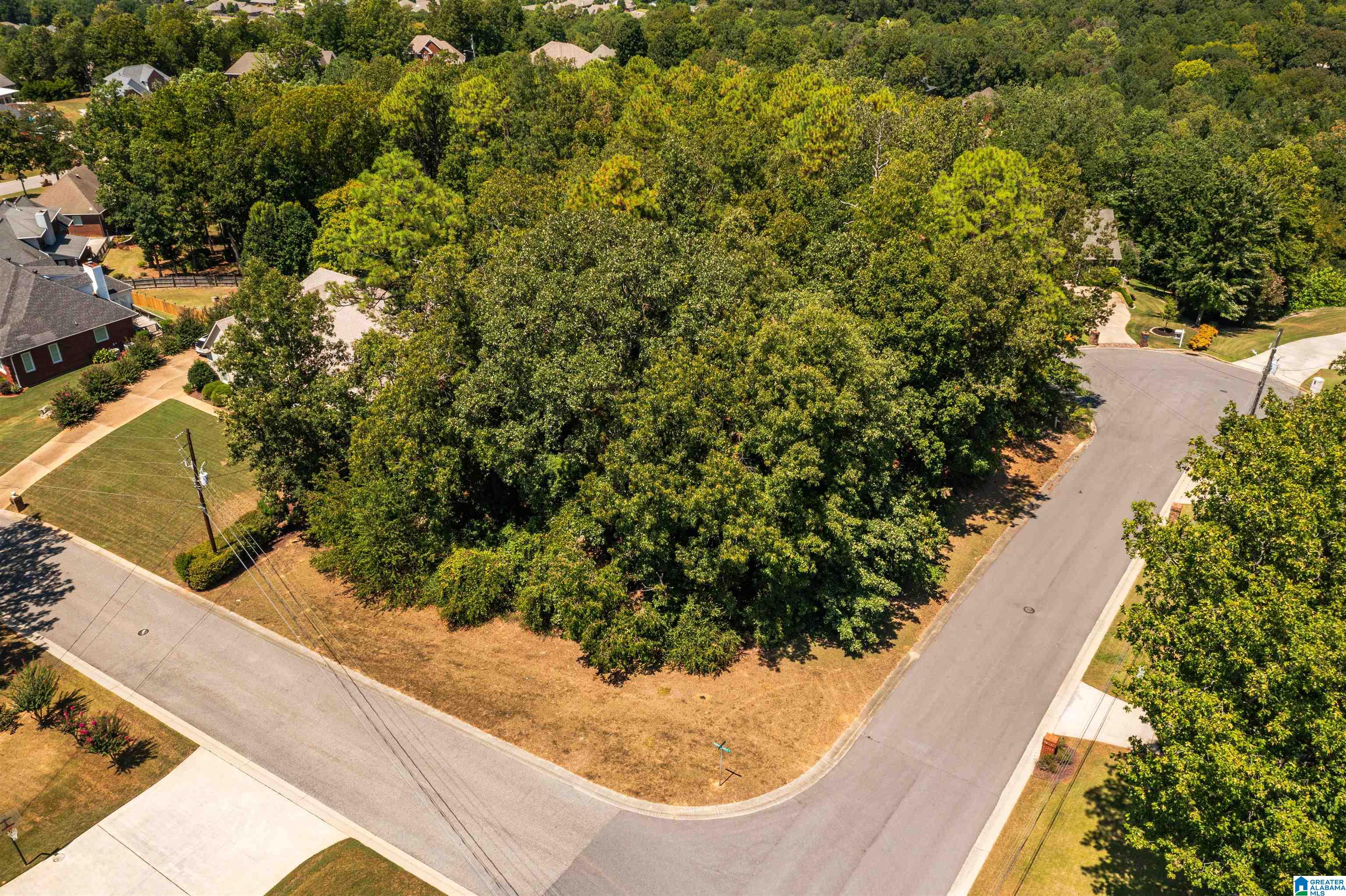 141 Newgate Road, Unit 141 Alabaster, AL 35007 - Photo 6 of 13