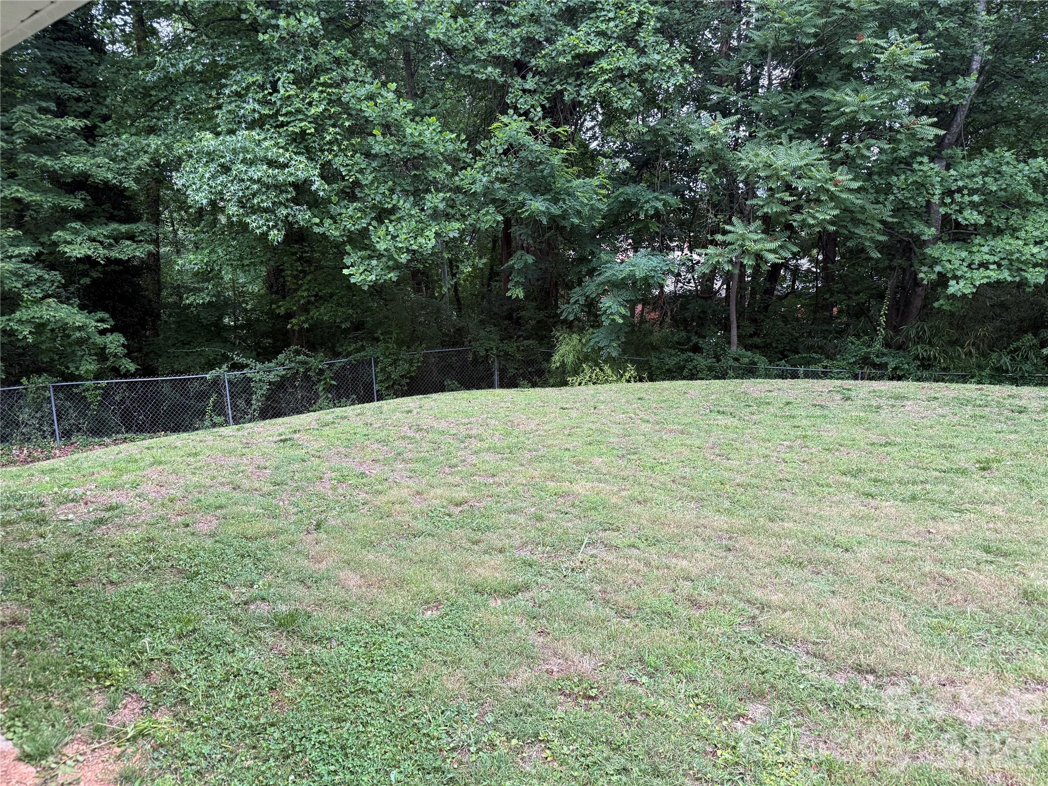 150 Cowan Lane Tryon, NC 28782 - Photo 36 of 42
