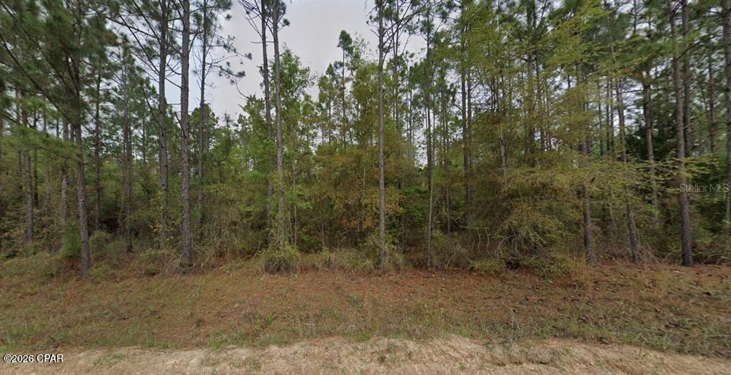 Lot 72 Blocker Road Marianna, FL 32446 - Photo 1 of 1 Gallery Image 1