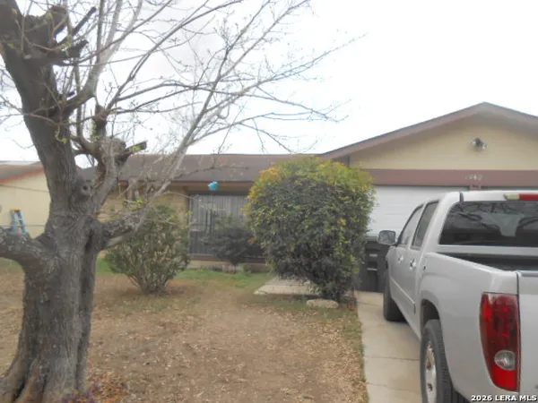 a view of backyard with large trees
