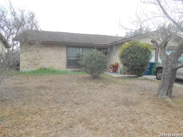 a view of backyard and tree