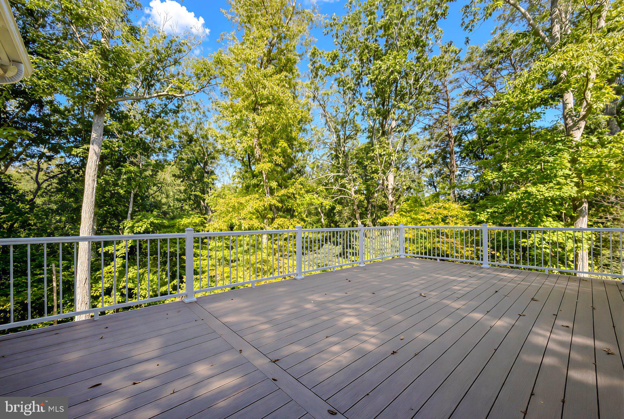 22953 Maple Road Lexington Park, MD 20653 - Photo 13 of 95 Gallery Image 13