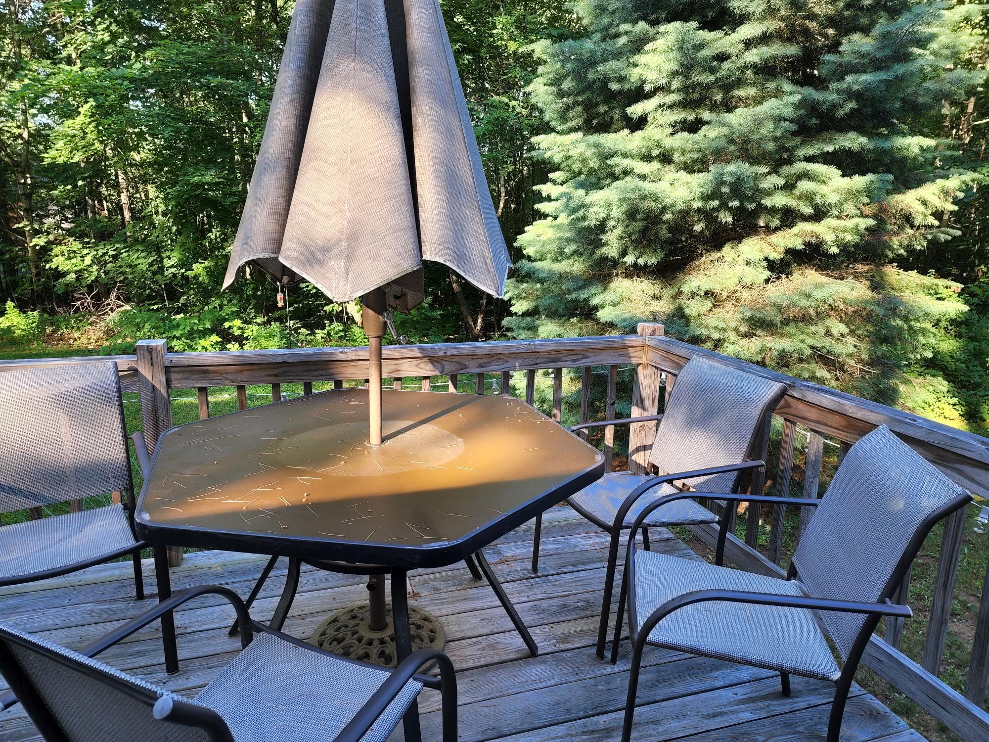 463 White Oak Hill Road Poland, ME 04274 - Photo 22 of 29 20220628_074045