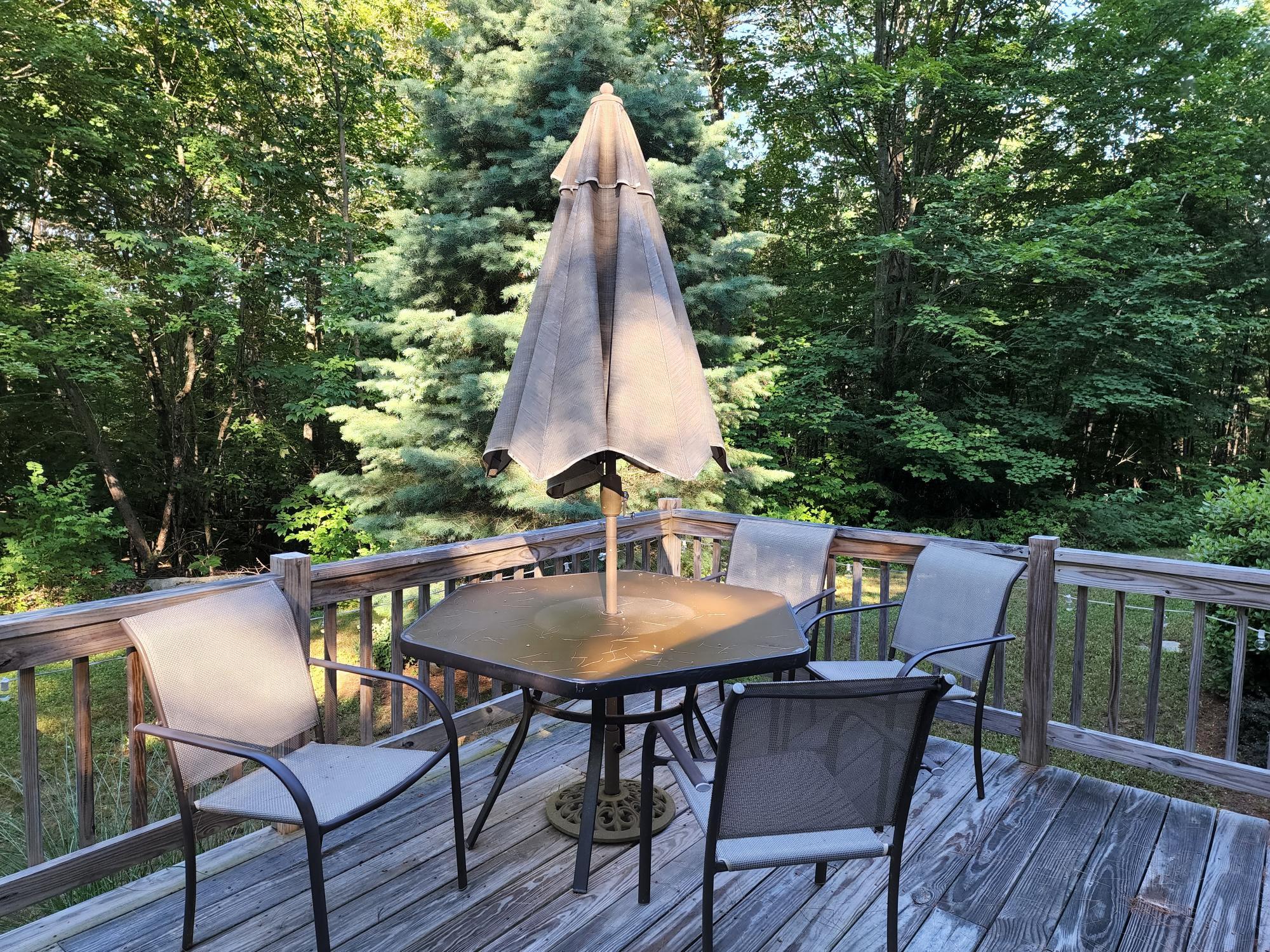 463 White Oak Hill Road Poland, ME 04274 - Photo 23 of 29 20220628_074051