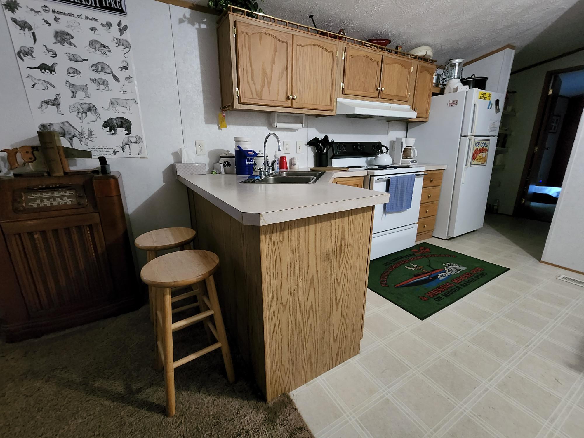 463 White Oak Hill Road Poland, ME 04274 - Photo 5 of 29 20220628_073843