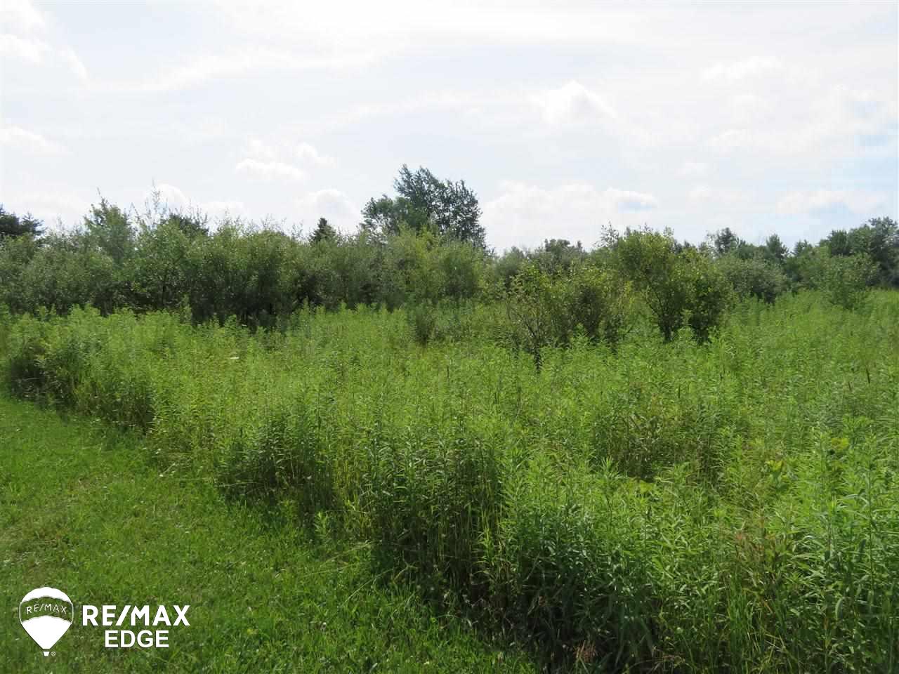 Parcel C East Wilson Road Otisville, MI 48463 - Photo 5 of 7