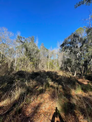 $525,900 | 0 North Highway 17, McClellanville, SC 29458