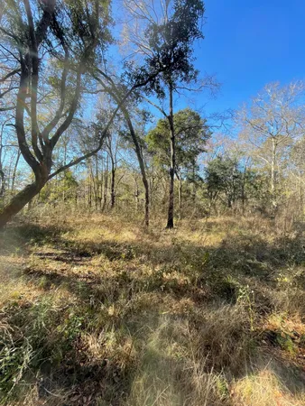 $515,900 | 0 North Highway 17, McClellanville, SC 29458