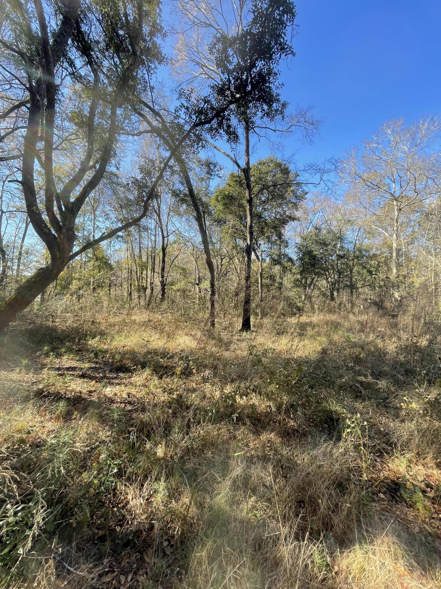 0 North Highway 17 McClellanville, SC 29458 - Photo 22 of 24 IMG_9384