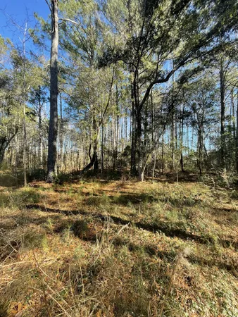 $515,900 | 0 North Highway 17, McClellanville, SC 29458