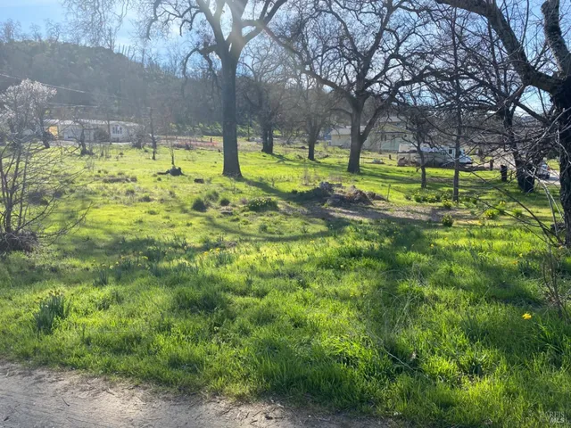 a view of swimming pool with a yard and green space