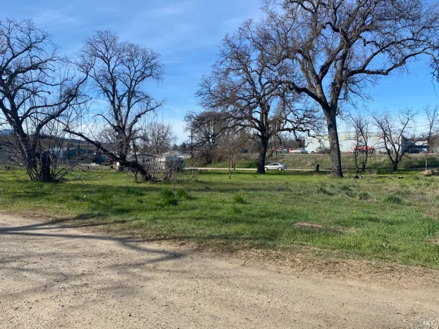 a view of a park with large trees