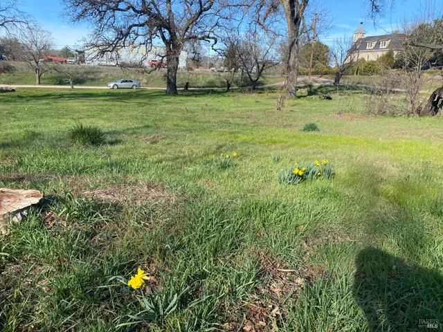 a view of a field with of trees