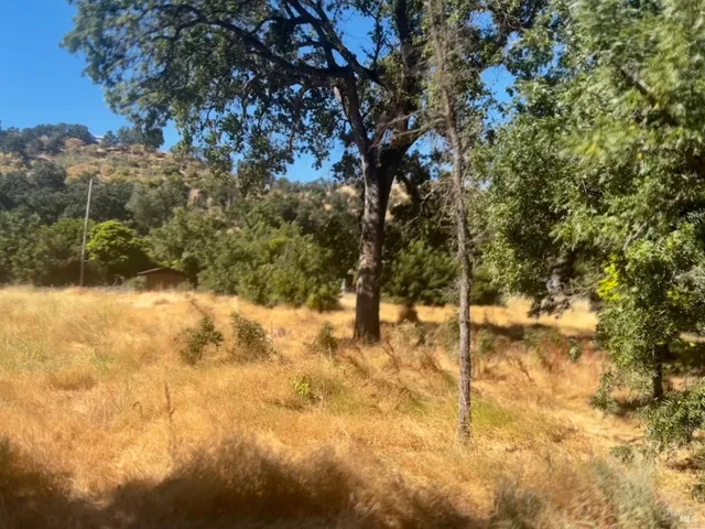 a view of yard covered with snow