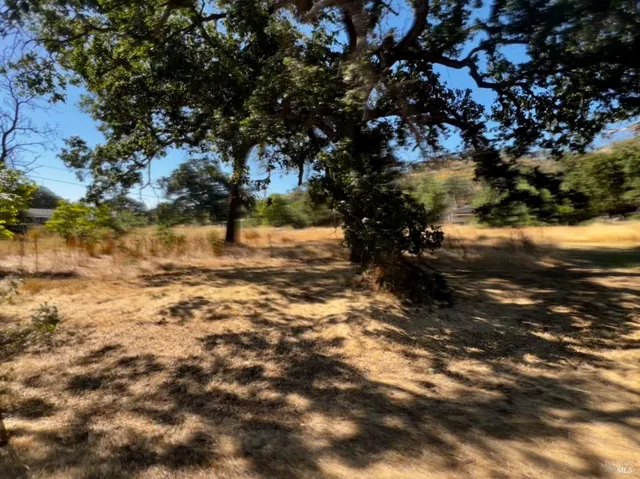 a view of back yard of the house