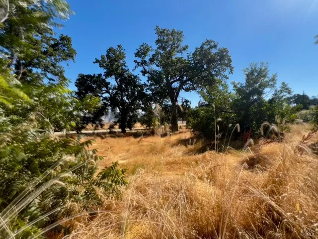 a view of covered with snow