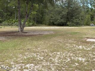 538 Coffee County Club Road Hortense, GA 31543 - Photo 13 of 20 IMG_0450