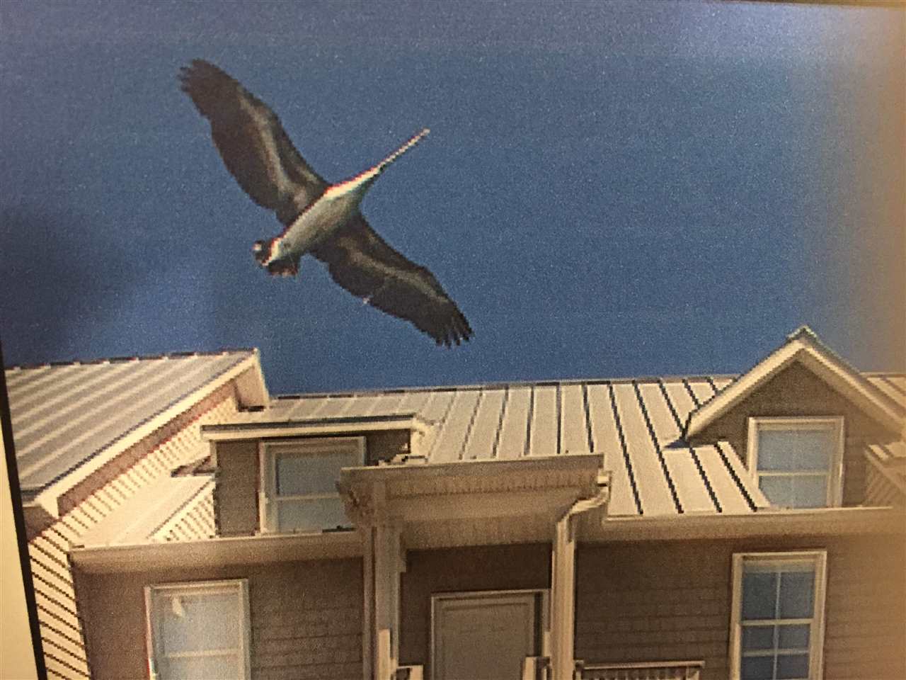 25 H Mashes Sands Road Panacea, FL 32346 - Photo 5 of 16 Gallery Image 5