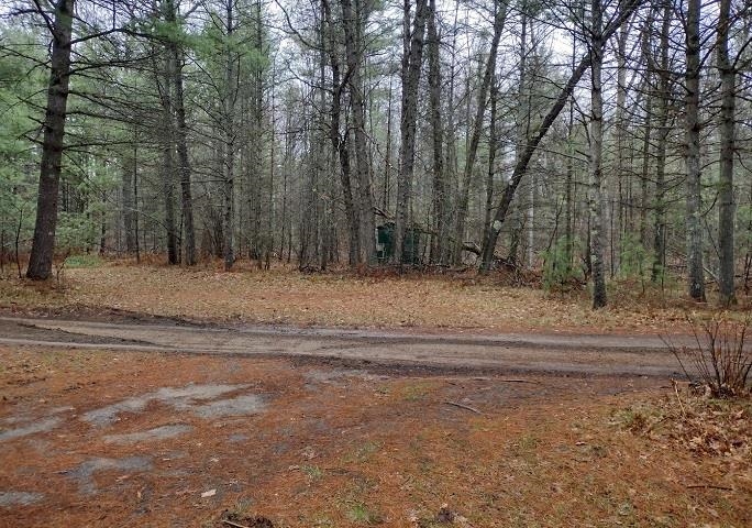 20-acres 20-acres Mckinley Road Marion, MI 49665 - Photo 12 of 48
