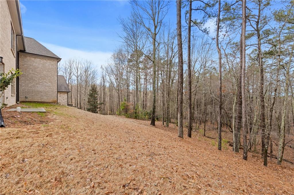 1560 Tapestry Ridge Southeast Lawrenceville, GA 30045 - Photo 52 of 57 a view of a backyard of the house
