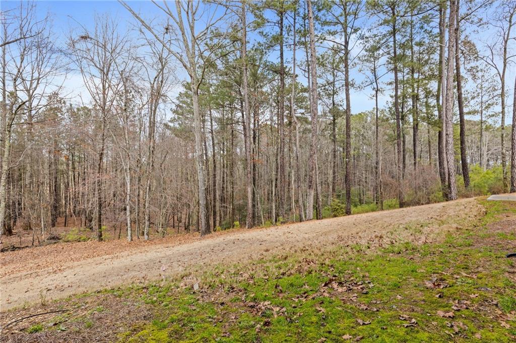 1560 Tapestry Ridge Southeast Lawrenceville, GA 30045 - Photo 54 of 57 a view of a backyard of the house