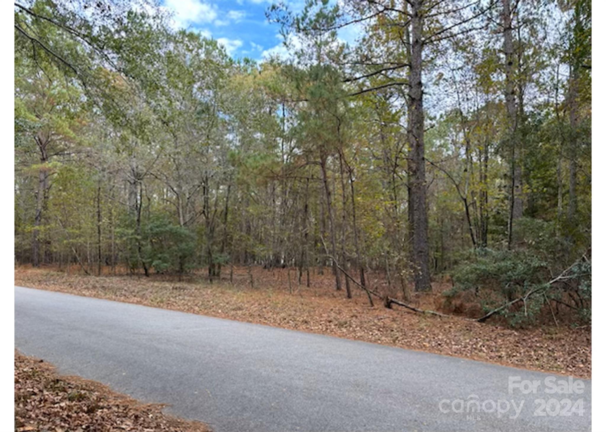 Lot 3 Hudson Road Summerton, SC 29148 - Photo 2 of 3 Gallery Image 2