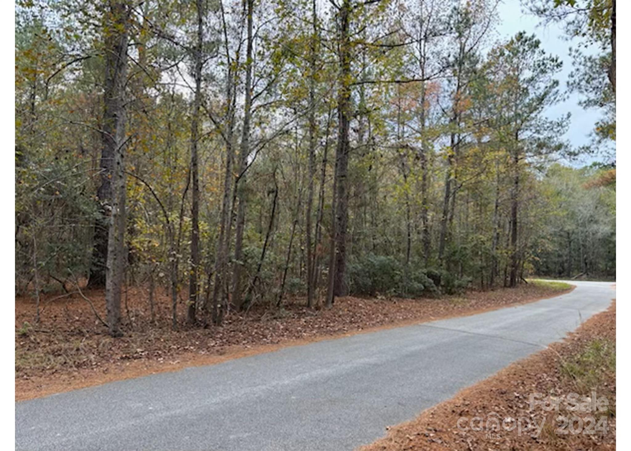 Lot 3 Hudson Road Summerton, SC 29148 - Photo 3 of 3 Gallery Image 3