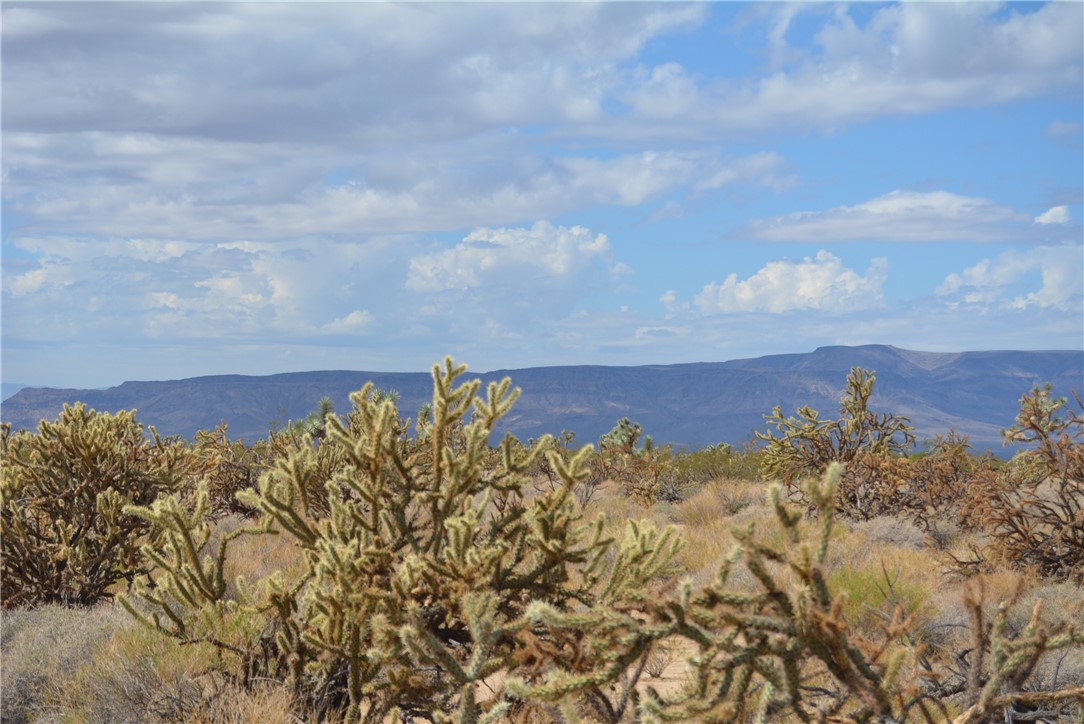 C8 Duquesne Road Yucca, AZ 86438 - Photo 54 of 76 Mountain view