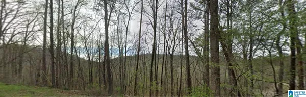 $25,000 | 0 Red Valley Road, Remlap, AL 35133