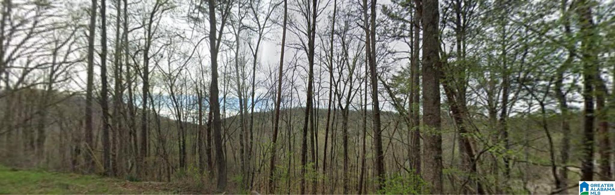0 Red Valley Road Remlap, AL 35133 - Photo 1 of 1