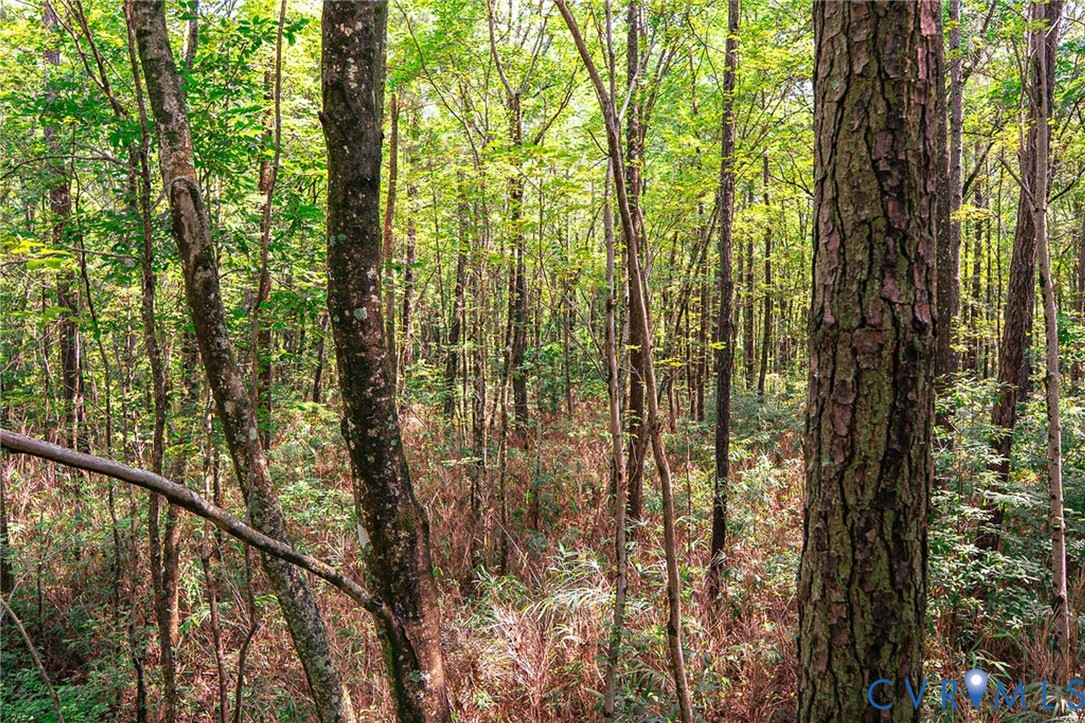 663.8-acres Peach Road Chesapeake, VA 23321 - Photo 34 of 48 Gallery Image 34