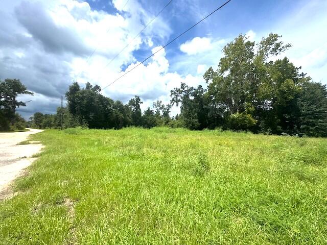 12239 Burke Road Fountain, FL 32438 - Photo 5 of 6 Looking down Burke
