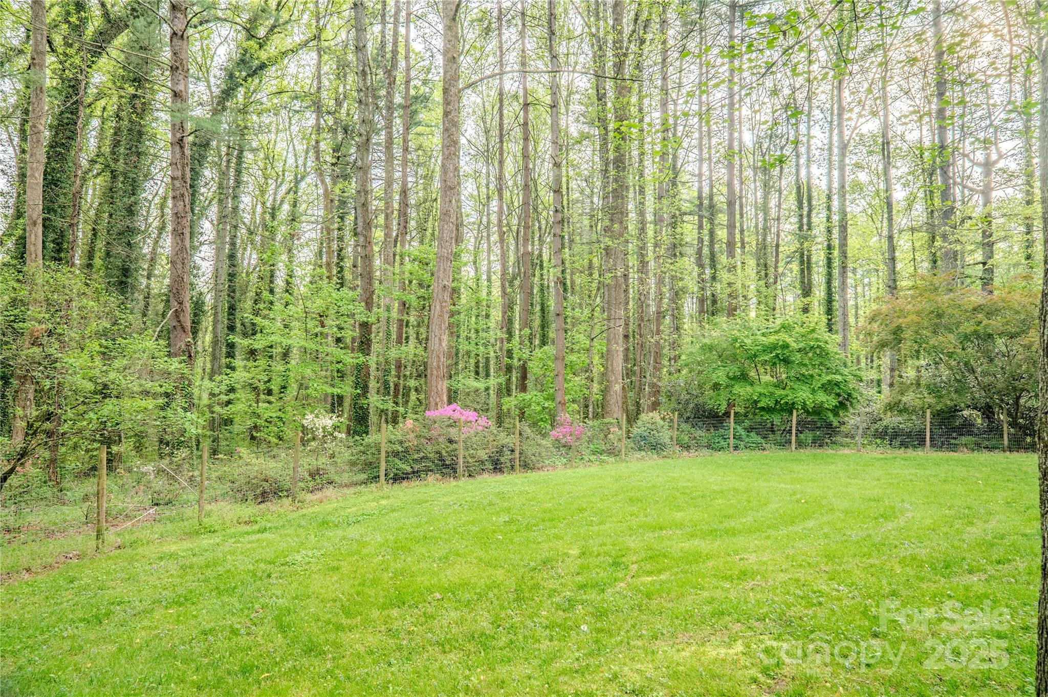 290 Tranquility Place Hendersonville, NC 28739 - Photo 48 of 48 a view of a garden with a building in the background