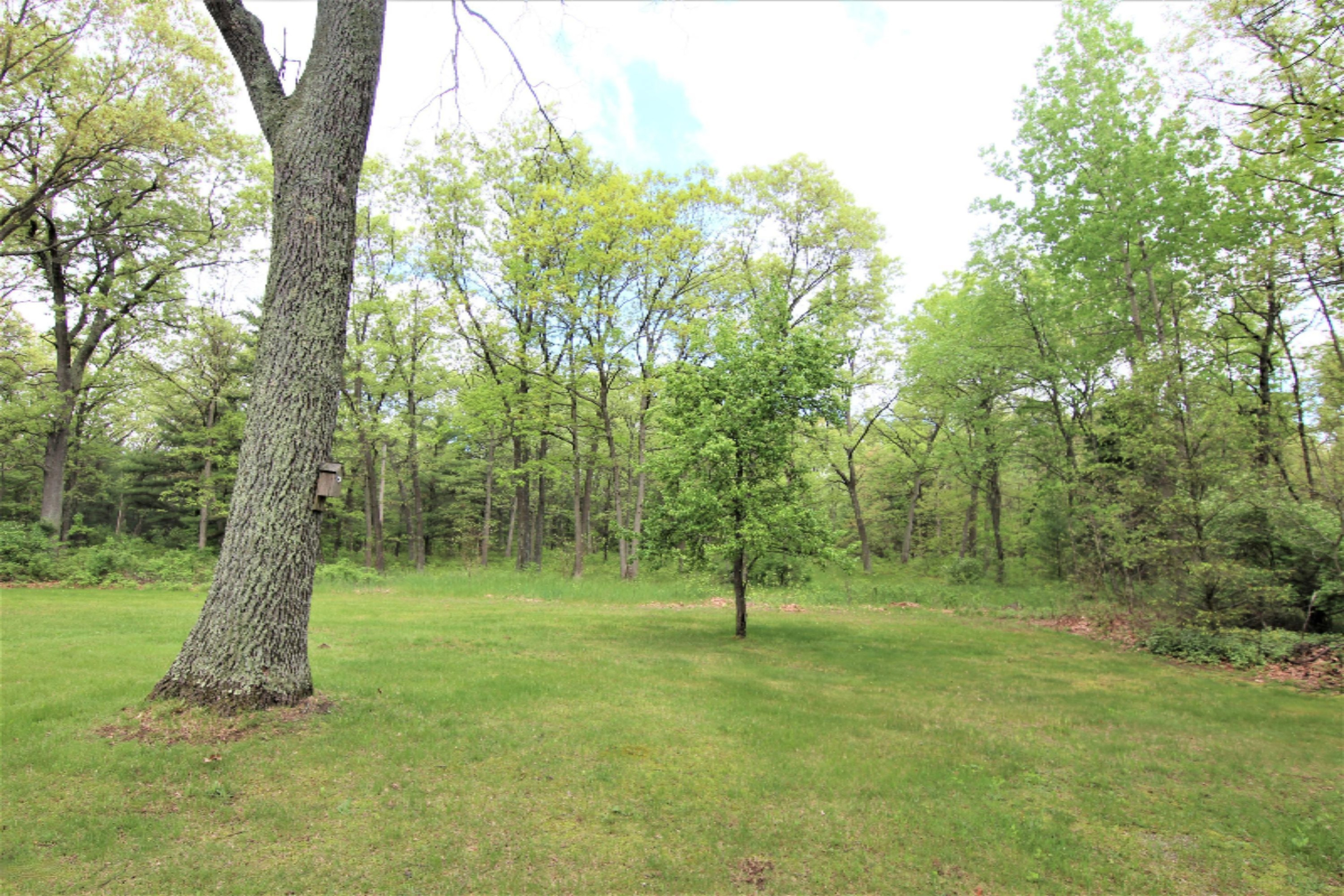 8738 Whitmire Road Holton, MI 49425 - Photo 29 of 29 Back Yard