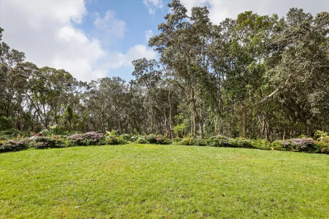 a view of a patio with table and chairs and potted plants