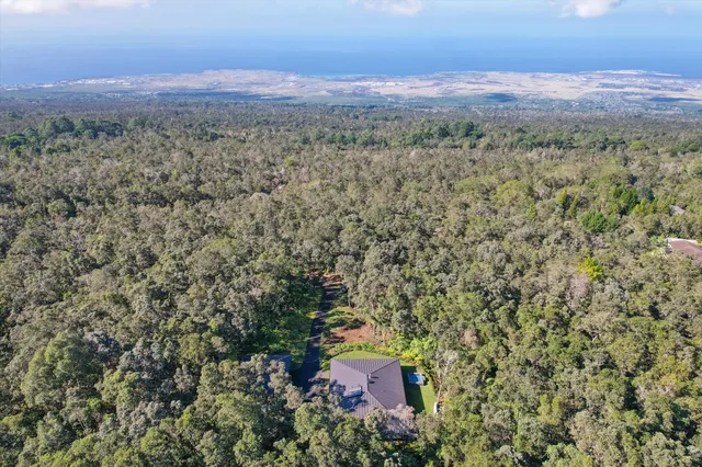an aerial view of a house with a yard and large tree