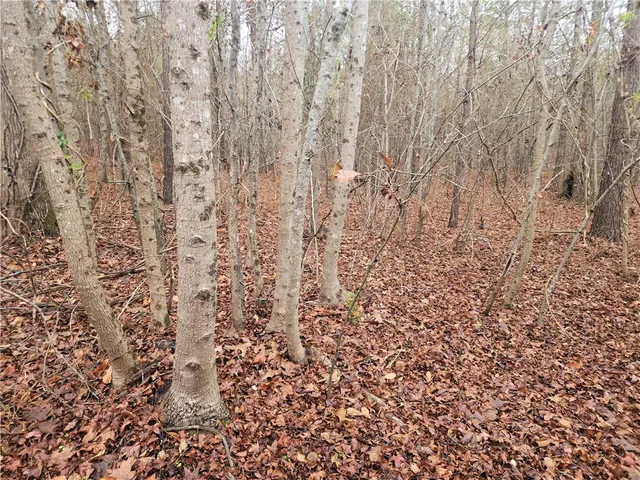 $381,730 | 0 Scott Lane, Pelzer, SC 29669