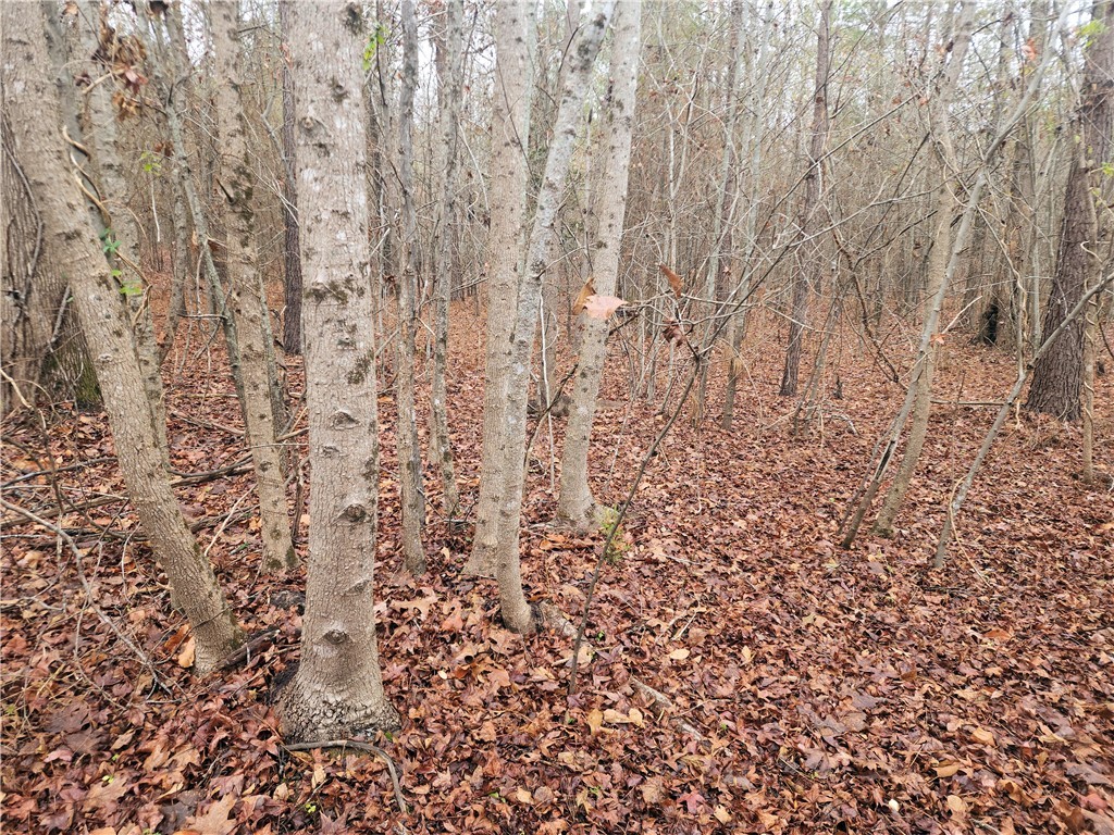 0 Scott Lane Pelzer, SC 29669 - Photo 4 of 18