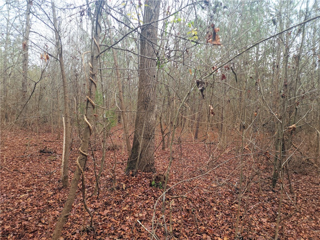 0 Scott Lane Pelzer, SC 29669 - Photo 5 of 18