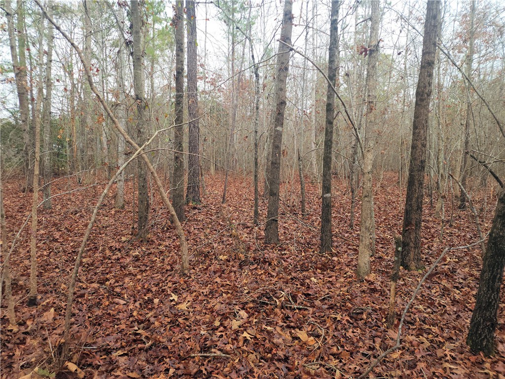 0 Scott Lane Pelzer, SC 29669 - Photo 6 of 18