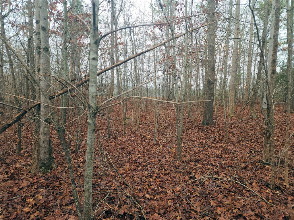 0 Scott Lane Pelzer, SC 29669 - Photo 7 of 18