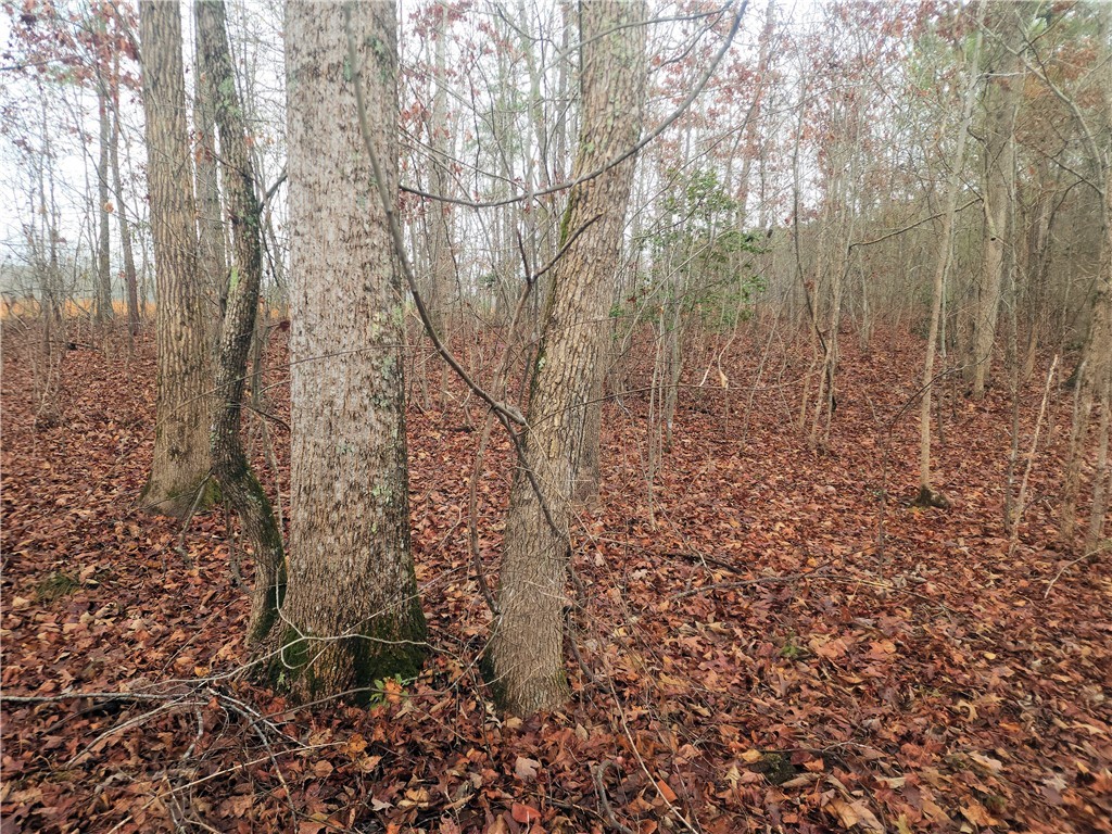 0 Scott Lane Pelzer, SC 29669 - Photo 8 of 18