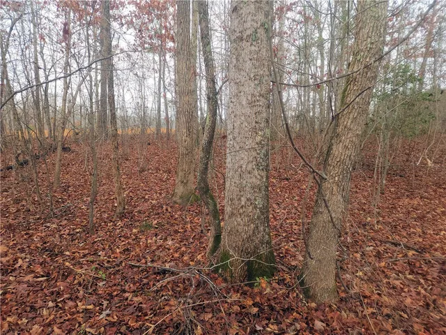 $381,730 | 0 Scott Lane, Pelzer, SC 29669