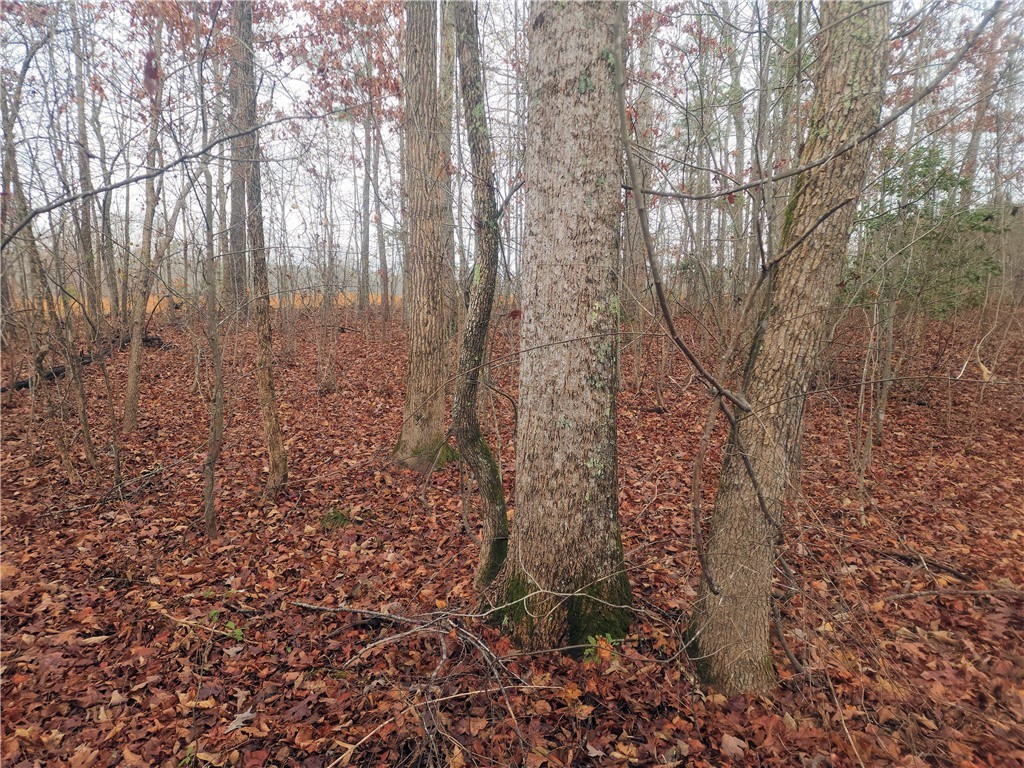 0 Scott Lane Pelzer, SC 29669 - Photo 9 of 18