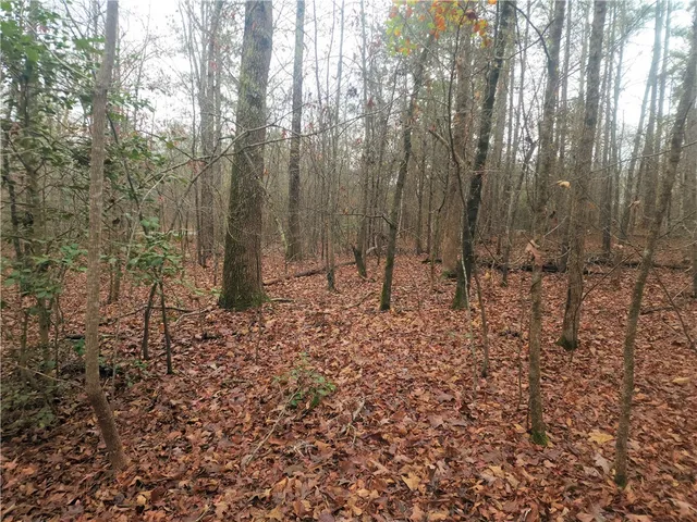 $381,730 | 0 Scott Lane, Pelzer, SC 29669