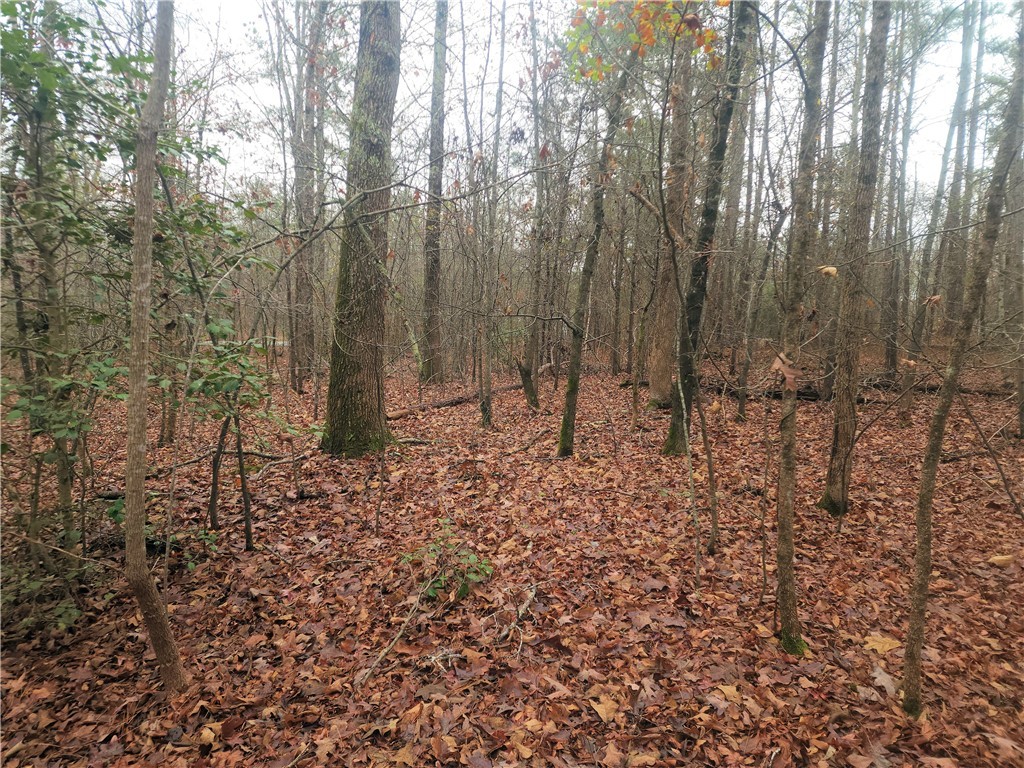 0 Scott Lane Pelzer, SC 29669 - Photo 10 of 18